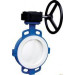 Turbine Butterfly Valve