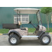 Two Seats Electric Hunting Buggy with Cargo Box