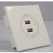 Wall Plates, USB Wall Plates, Double USB Wall Plates