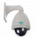 Waterproof 650tvl PTZ High Speed Dome Camera (CED89-27)