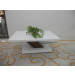 Wooden Design Coffee Table Furniture