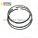 Ww-9123 Motorcycle Piston Ring for 2 Stroke