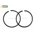 Ww-9124 Ax100 Motorcycle Piston Ring for 2 Stroke