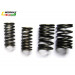 Ww-9507 Gy6-125 Motorcycle Compression Spring, Motorcycle Engine Valve Spring, Motorbike Part