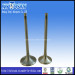 for Ford Fiesta 1.6 Engine Valve (Intake & Exhaust)