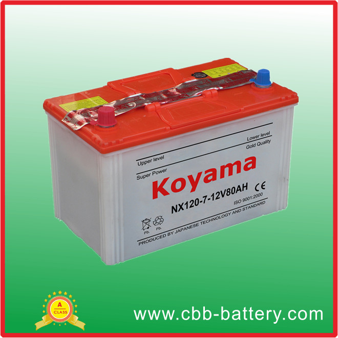 12V80ah Dry Charged Car Battery-Nx120-7 (NX120-7 N80)