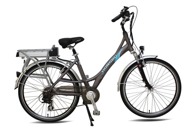 2013 Italy City Electric Bike with Brushless Motor (TDF30Z)