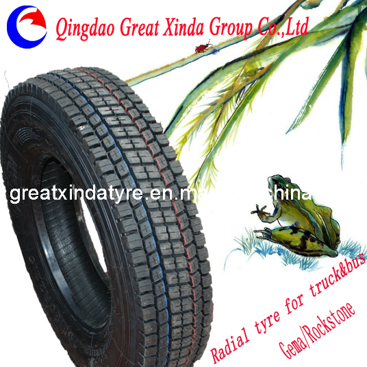 All Steel Radial Bus Tire