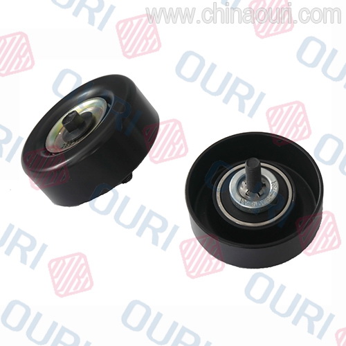 Auto Parts Idle Pulley for Ford (OEM 95WF19A216AC)