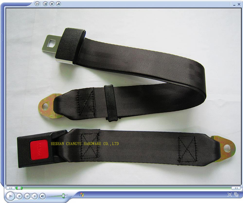 Auto Seat Belts