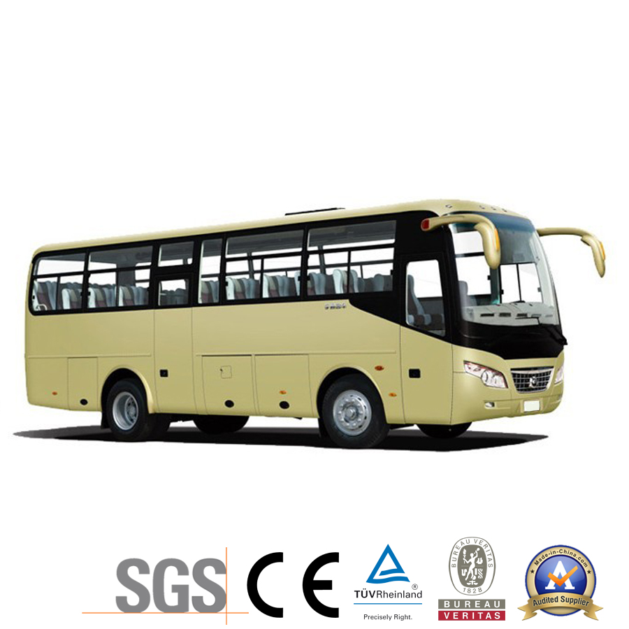 Camc Long Coach Bus (ZK6932D1)