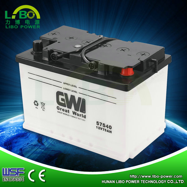 Charger Battery 12V75ah Lead Acid Battery