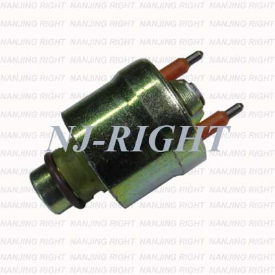 DELPHI Fuel Injector 17112504 /Tj6
