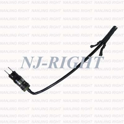 Delphi Fuel Injector/Injection/Nozzel for Chevrolet (17096021)