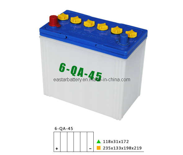 Dry Charged Car Battery Ns60