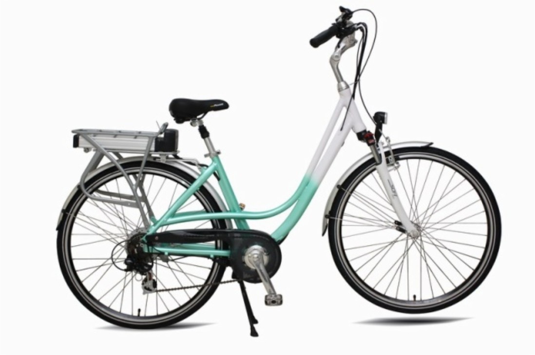 EN15194 Cheap Front Drive Motor Electric Bicycle (TDB01Z)