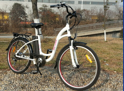 En15194 Green Power Electric Bike with Pedals for Sale