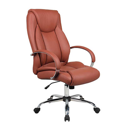 Fashionable Manager Erognomice Swivel Leisure Office Chair (FS-2012)