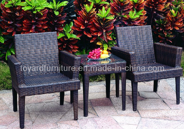 Garden Furniture, Outdoor Rattan Wicker Leisure Chair and Table (S229)