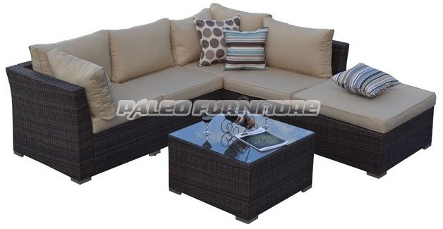 Garden Patio Wicker Rattan Outdoor Furniture (PAS-1402)