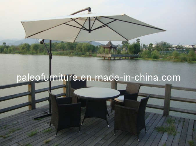 Garden Rattan Furniture / Dining Table and Chair (PAD-1101B)