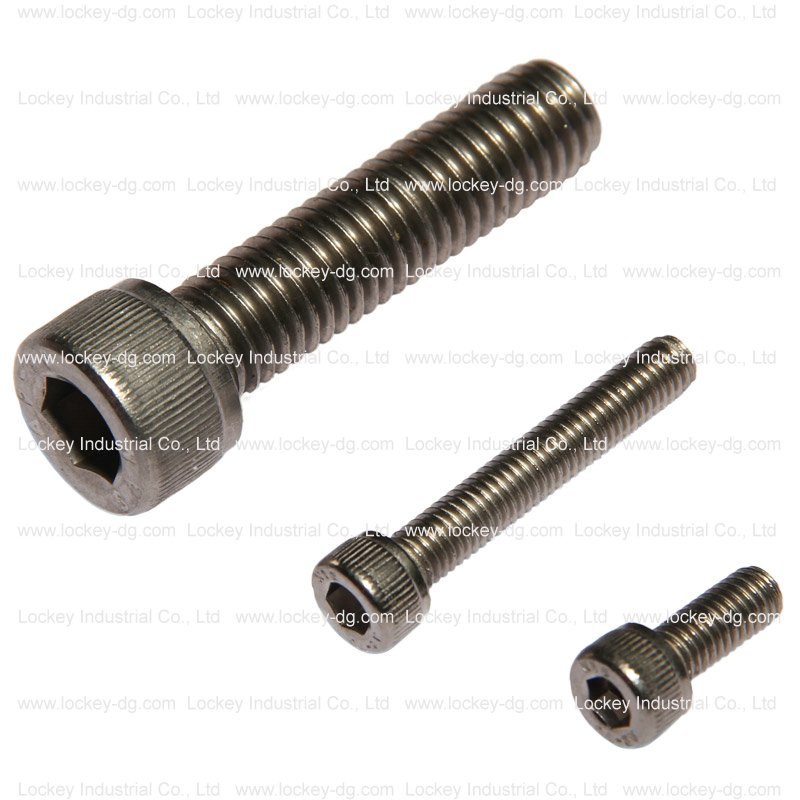Hex Socket Head Cap Screw Allen Bolt Allen Screw