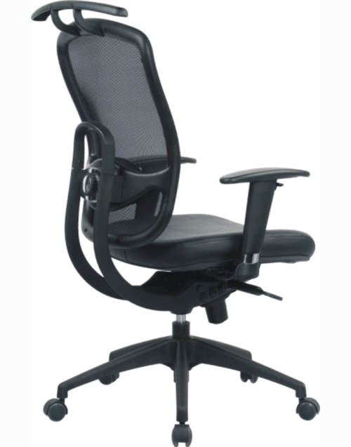 High Back Ergonomic Boss Office Mesh Chair (FS-80B)