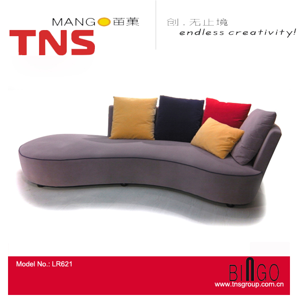 Home Furniture Lesuire Lounge Chair (LR621)