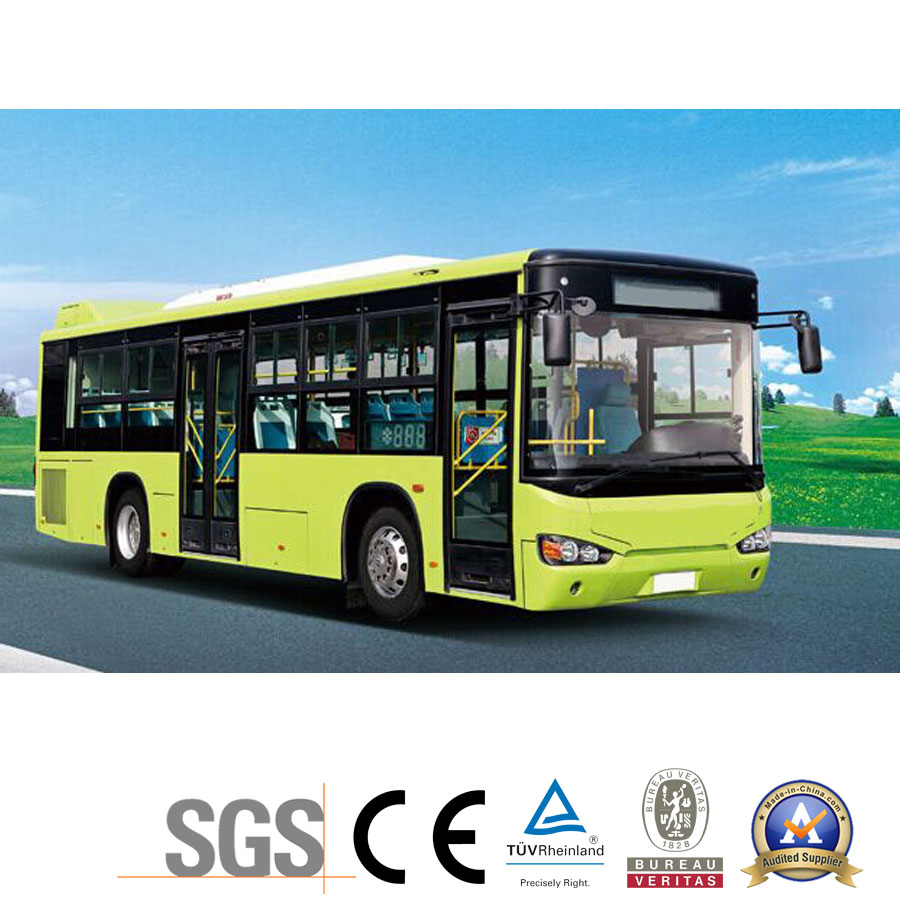 Hot Sale City Bus/Public Bus (ZK6896HG)