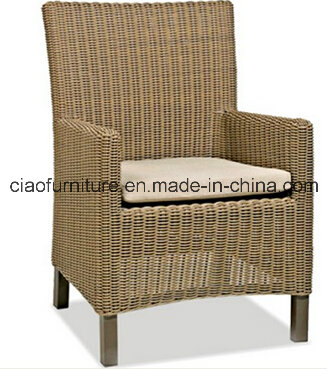 Leisure Wicker Furniture Round Rattan Chair (CF1031C)