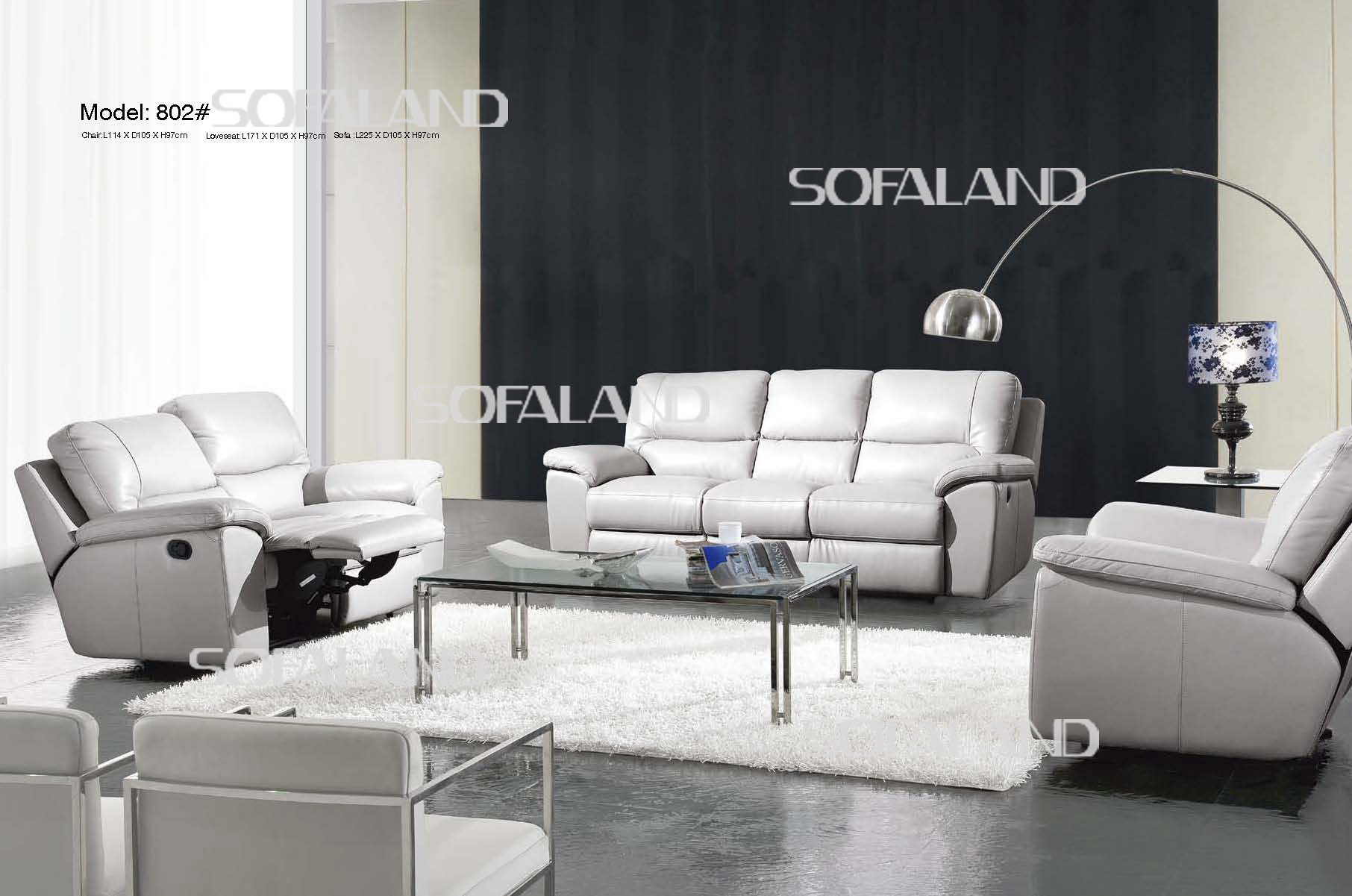 Living Room Furniture/ Sofa (802)
