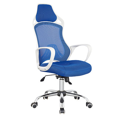 Modern Blue Color Ergonomic Swivel Mesh Office Chair (FS-1024)
