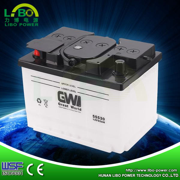 Newest Dry Charged Starting Auto Battery with 55530