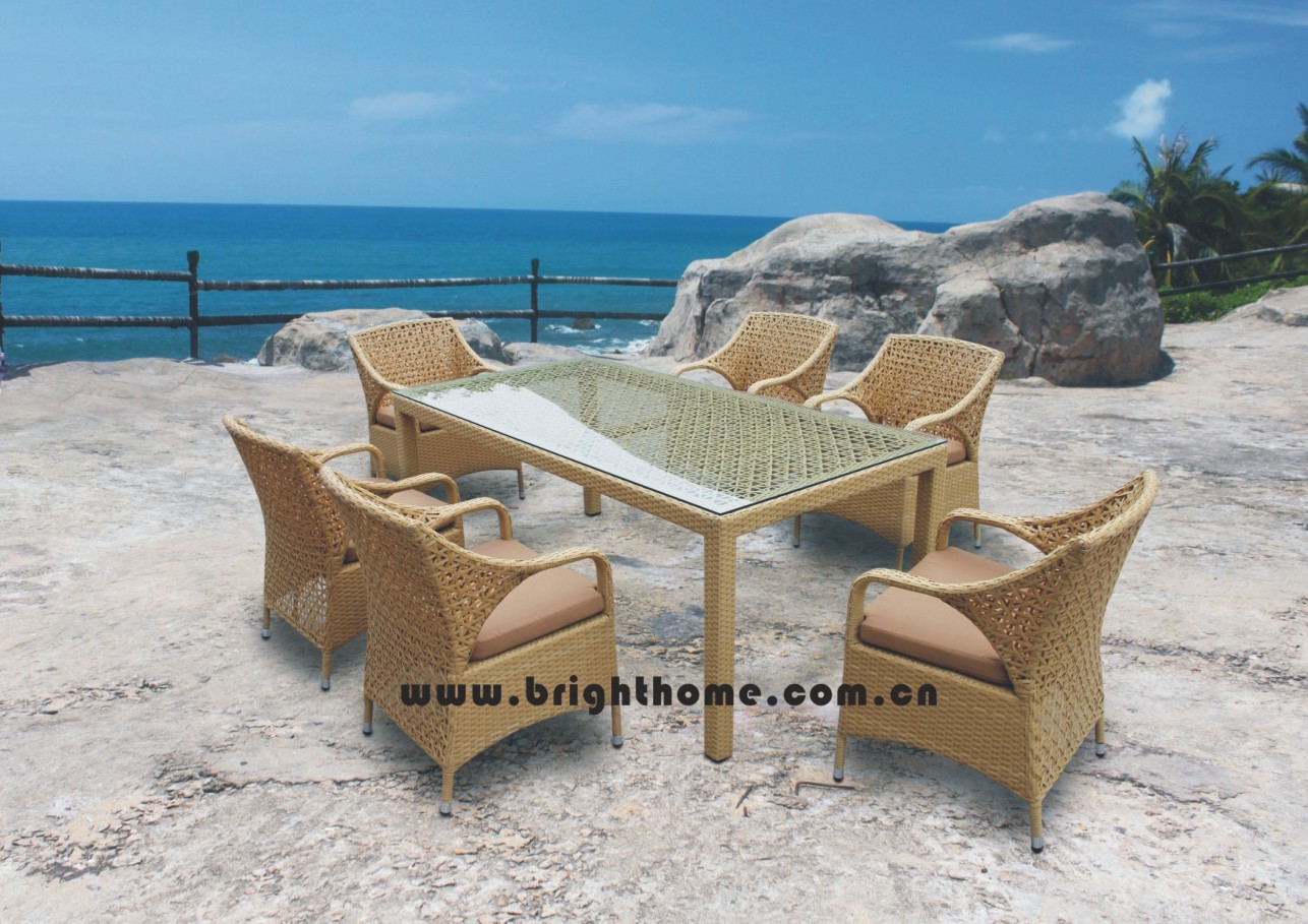 Outdoor Dining Set/ Garden Furniture