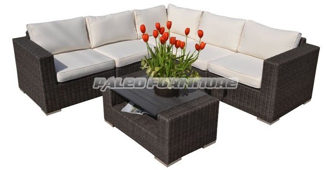 Outdoor Garden Patio Rattan Wicker Furniture Sofa (PAS-1311)