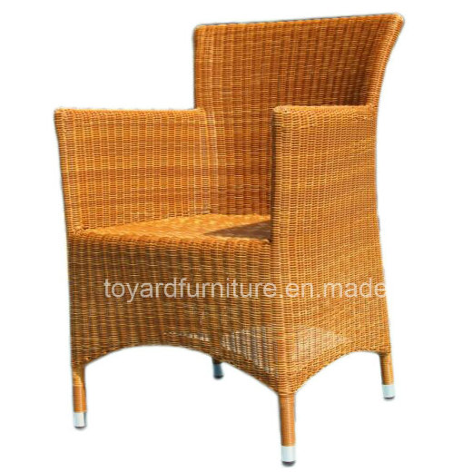 Outdoor Leisure Furniture Rattan Wicker Leisure Chair (S289)