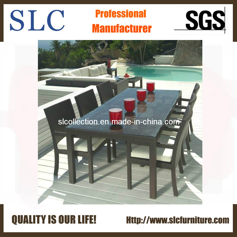 Outdoor Wicker Furniture/wicker furniture/dining furniture set (SC-B6023)