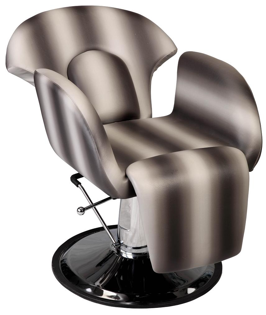 Professional China Salon Furniture Salon Chair (MY-A035)