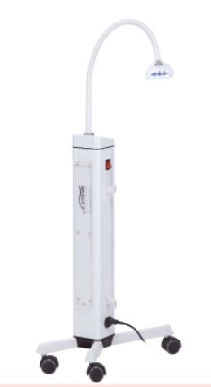 Professional Portable Teeth Whitening Machine (F-2010-6A)