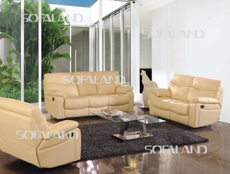 Recliner Sofa (841#)