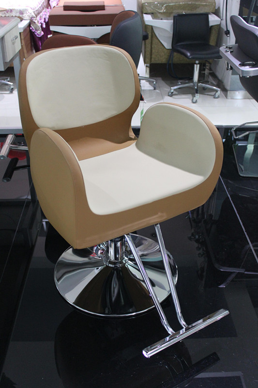 The New Beauty Salon Furniture Salon Chairs (MY-007-97)