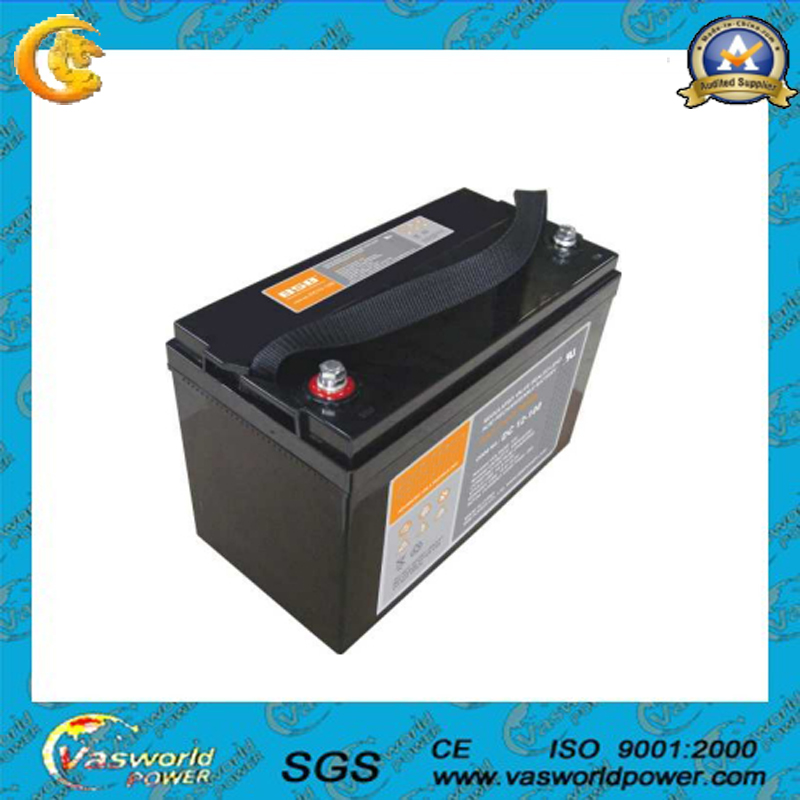 Vasworld Power Brand Rechargeable Deep Cycle Lead Acid Battery 12V100ah