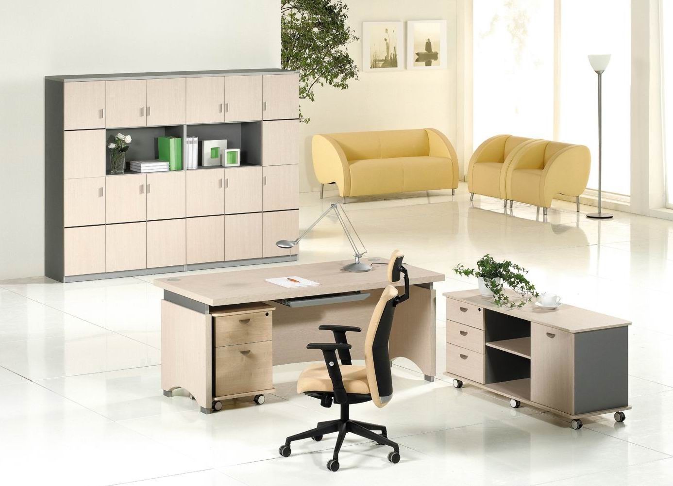 Wooden Office Table/Desk (Nancy-ve01)