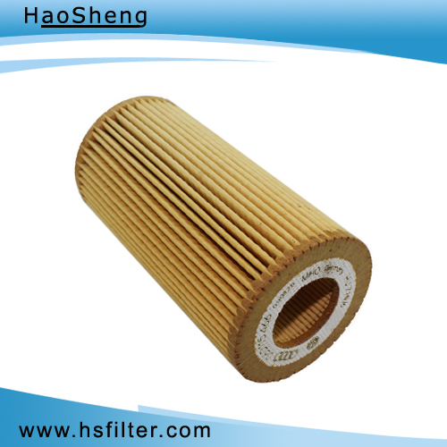 with Durability Auto Oil Filter for Audi (06D 115 562)