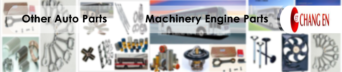Hebei Chang En Trading Co., Ltd.